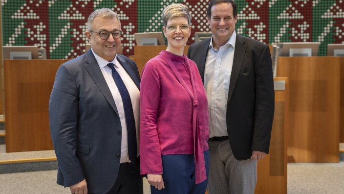 Mehrdad Mostofizadeh, Wibke Brems und Thorsten Schick.jpg